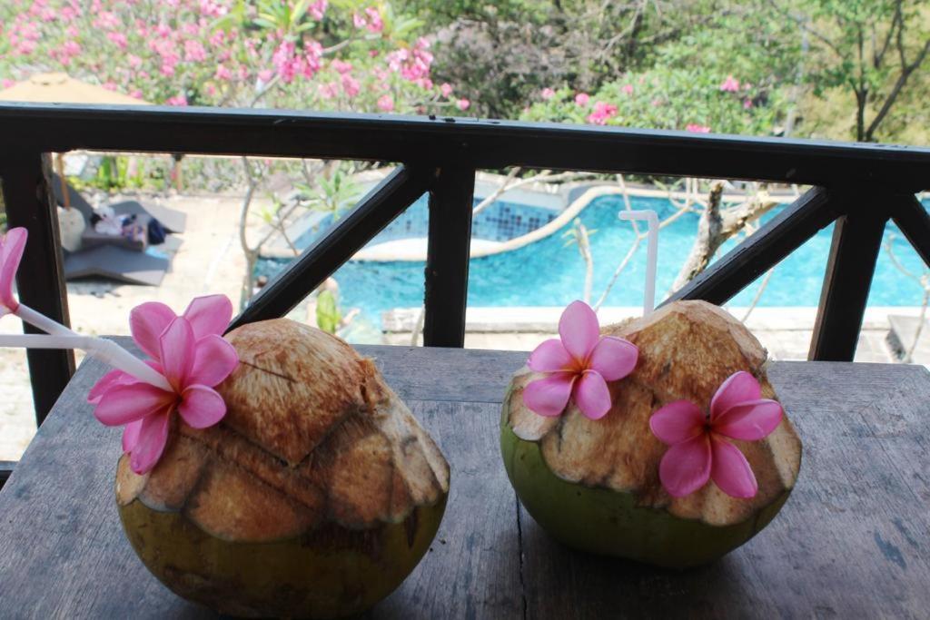 Lombok Coconut Hotel マンシット エクステリア 写真